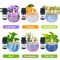 Candles Making Kit for Adult - Christmas DIY Gift for Beginner, Includes Beeswax, Essential Oils, Dyes, and More DIY Candle Making Supplies, Crafts for Adults